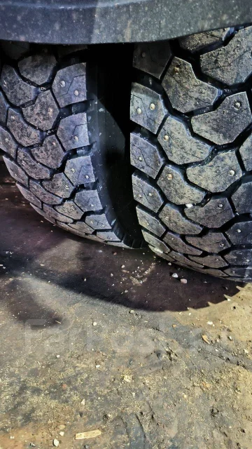 Evergreen. ������, ����������, 2026 ���, ����� ����