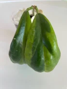 ����. ����