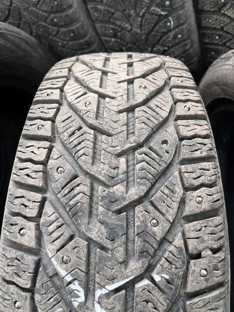 Tigar Ice. ������, ����������, 2021 ���, �/�, ����� 25 % ����