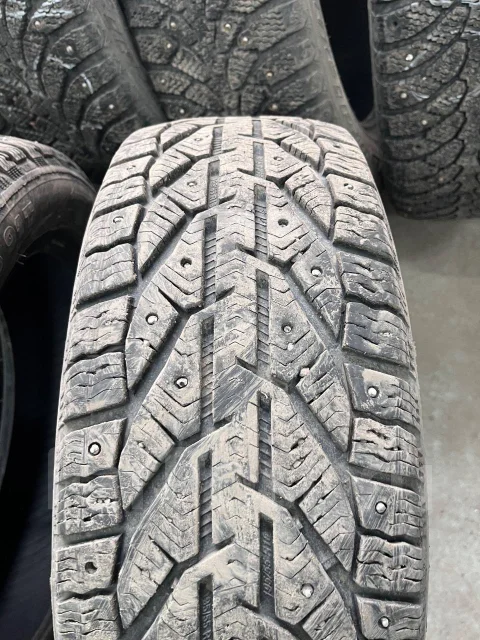 Tigar Ice. ������, ����������, 2021 ���, �/�, ����� 25 % ����