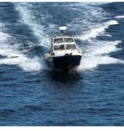 Yamaha Fish 24. 2018 ���, ����� 7,2��., ��������� ���������, 200��.�., ������ ����