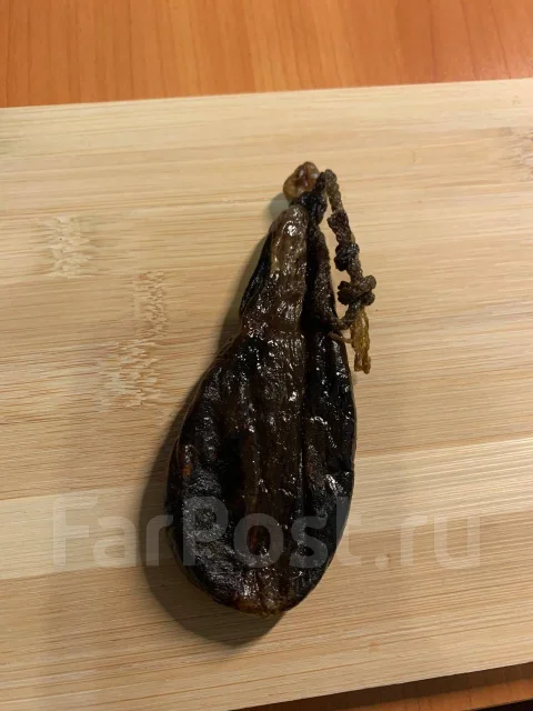 ����� ������� ����
