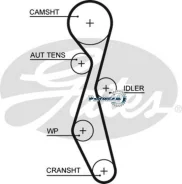������ ��� Citroen / Peugeot / FORD 2.2 06- (118x25.4) Gates 5633XS 5633XS ����