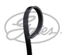   XF Gates 4PK1210 4PK1210 