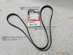 ������ ��������� ������������ Gates 6PK1555 31330157 ����