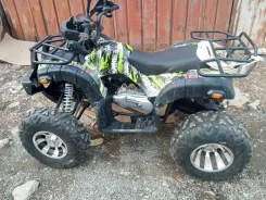 Grizzly 200. ��������, ��� ���\���, �� ����