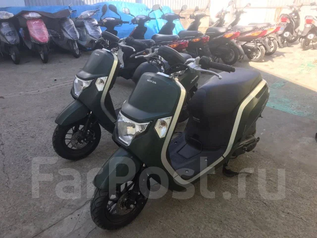 Honda Dunk. 49����. ��., ��������, ��� ���, ��� ������� ����