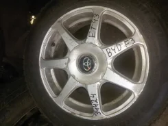 NZ Wheels F-3