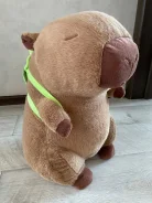 ������� ������. ����