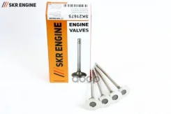 ������ ��������� SKR Engine ���. SK21675 SK21675 ����