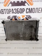 �������� �������� Hyundai Starex H1 [253104A110] 253104A110 ����