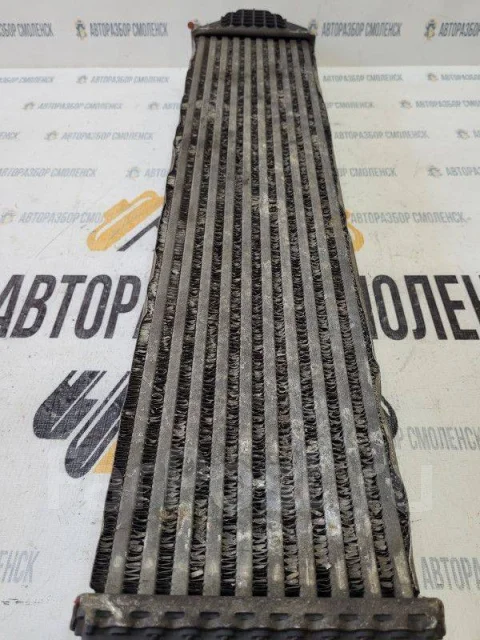 ���������� Ford Focus 2 [8V619L440AB] 8V619L440AB ����