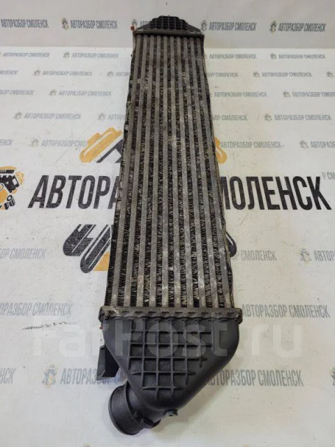 ���������� Ford Focus 2 [8V619L440AB] 8V619L440AB ����