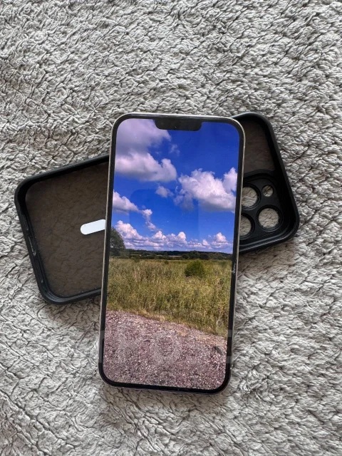 Apple iPhone 13 Pro Max. �/�, 256 ��, �����, 3G, 4G LTE, 5G, NFC ����