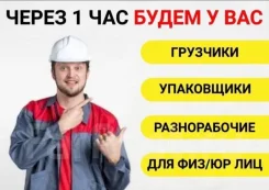 ��������. ����