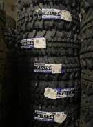 Lakesea Alligator. ����� mt, 2026 ���, �����. ��� ����� �� ������ ����