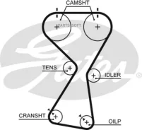76154x29 HSN ������ ��� Gates 5534XS 5534XS ����
