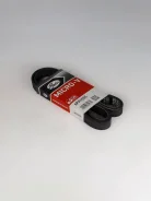 ������ ������������ Gates 6PK1555 6PK1555 ����