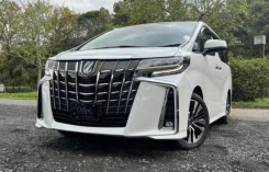 Toyota Alphard. ��������, ��������, 2.5 (182��.�.), ������, 25 000����. ��, �/�. ��� ����� �� ������������ ����