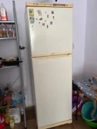 ������������. ����