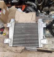   250-1172010 