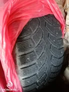 Bridgestone Blizzak DM-V2. ������, ����������, 2020 ���, �/�, ����� �� 5 % ����