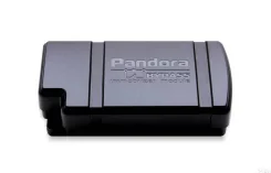 Pandora ����