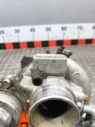 ������� 55564941 ����