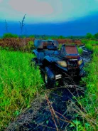 Yamaha Grizzly. ��������, ��, �� ����