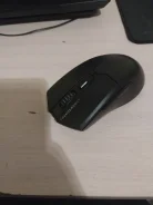 ���� �������. ����