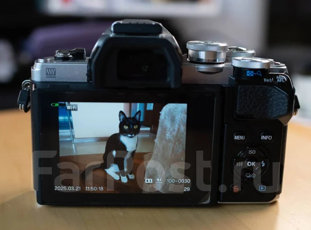 Olympus E-M10 Mark III. 15 - 19.9 ��, ���: ��� ���� ����