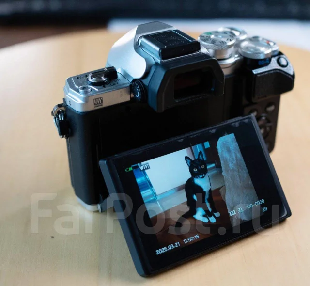 Olympus E-M10 Mark III. 15 - 19.9 ��, ���: ��� ���� ����