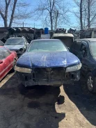 Nissan Expert. VNW11, QG18 ����