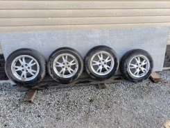 Mangels. x15" ����