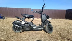 Honda Zoomer. 49����. ��., ��������, ��� ���, ������ �� �� ����