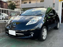 Nissan Leaf. �������, ��������, �������������, 15 000����. ��, �/�. ��� ����� �� ������������ ����