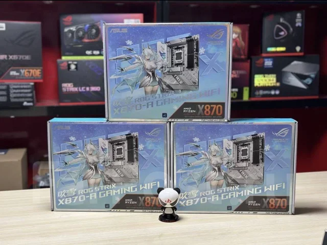 AMD B850 ����