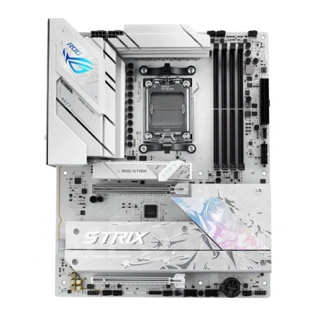 AMD B850 ����