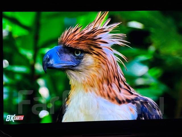 TCL. Quantum Dot (QLED, NanoCell) ����