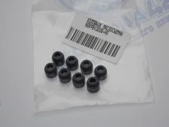 ������������ �������� Nissan QR, SR, VQ, VK BV3006-H0 BV3006H0 ����
