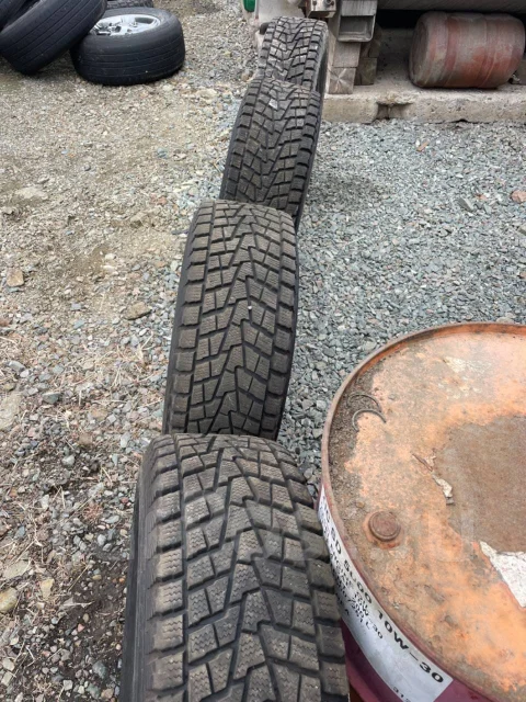 Bridgestone Winter Dueler DM-Z2. ������, ��� �����, �/�, ����� 5 % ����