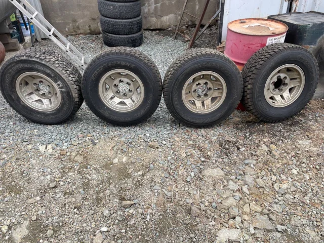 Bridgestone Winter Dueler DM-Z2. ������, ��� �����, �/�, ����� 5 % ����
