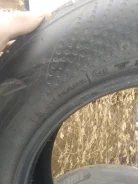 Austone. ������, 2024 ���, ����� ����