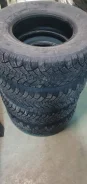 Tunga Nordway. ������, ��� �����, 2018 ���, �/�, ����� 50 % ����