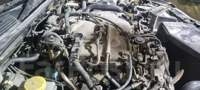 Nissan Cedric. MY34, VQ25 ����
