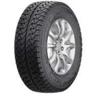Fortune FSR-302
