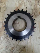 �������� ��������� 13021EB300 ����