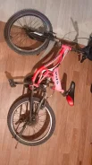 XDS ����