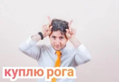 ���� ����� ����