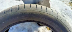 Windforce Catchfors. ������, 2024 ���, �/�, ����� �� 5 % ����